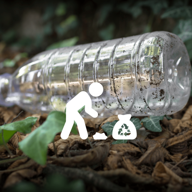 cleanUP2024